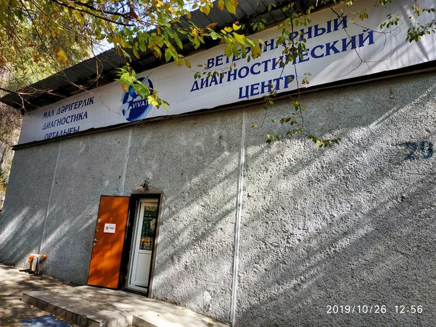 Работа специалистов центра VIVAT